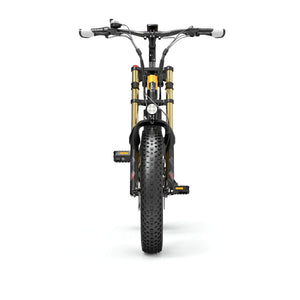 Fat bike électrique LANKELEISI X3000 PLUS-UP vu de face, adapté aux terrains accidentés et chemins urbains.