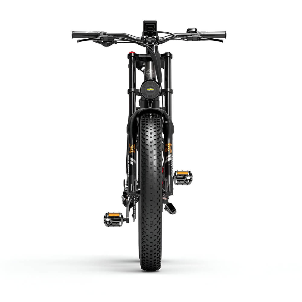 Zoom avant du fat bike électrique Dukawey Silvertip8, avec écran LCD et commandes intuitives.