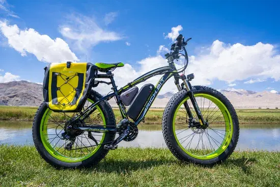 Richbit vtt fat ebike 1000w sale