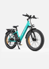 Electric Fat Bike Engwe E26 ST 250W