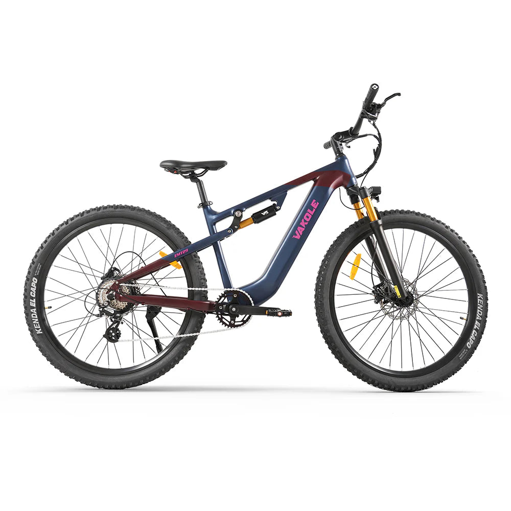 VAKOLE EMT29 250W : VTT Électrique  VTTAE Niveau d'Entrée avec Capteur de Couple 48V 15Ah Batterie