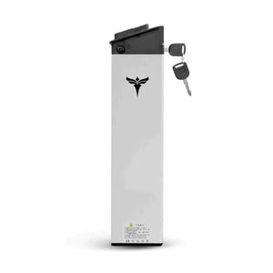 Batterie lithium-ion pour EP-2 