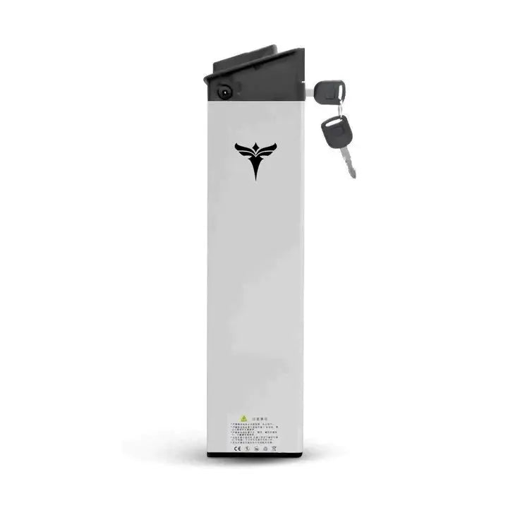 Batterie lithium-ion pour EP-2 